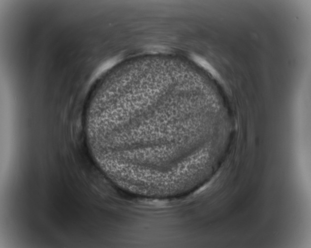X0000085231261200703301717
