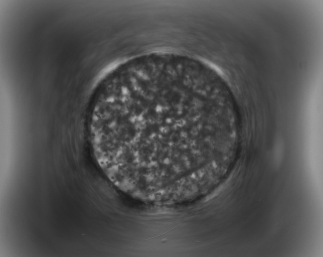 X0000085231263200703301717