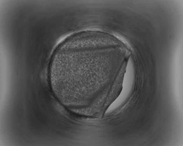 X0000085231264200703301717