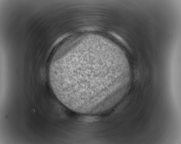X0000085231266200703301717