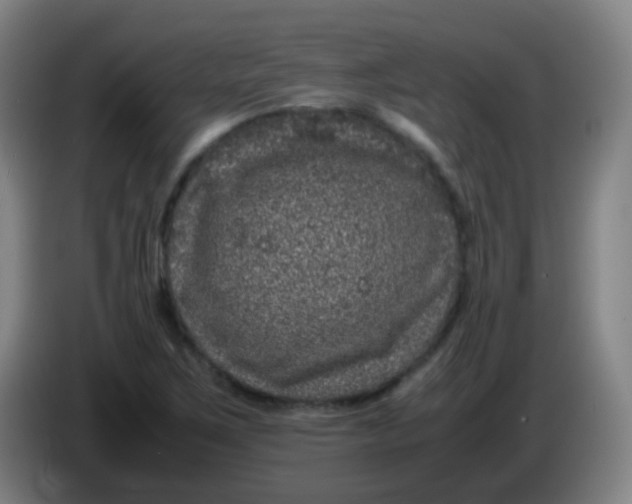 X0000085231267200703301717