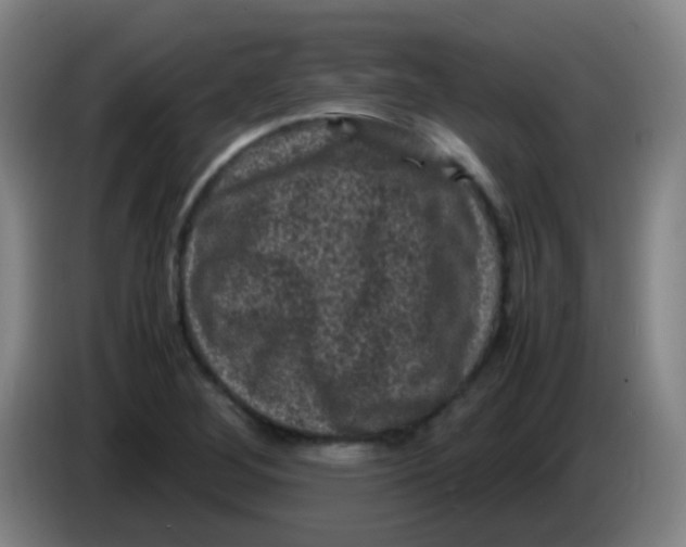 X0000085231268200703301717