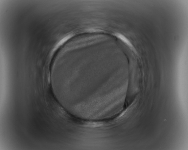 X0000085231269200703301717
