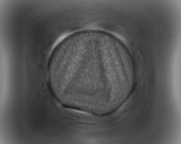 X0000085231271200703301717