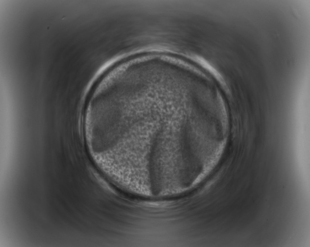 X0000085231272200703301717