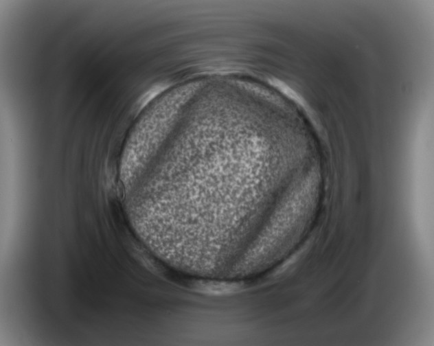 X0000085231273200703301717