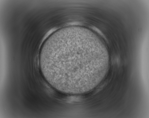 X0000085231274200703301717