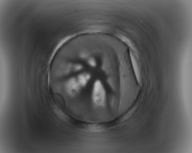 X0000085231275200703301717