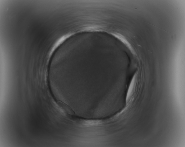 X0000085231277200703301717
