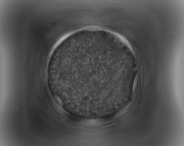 X0000085231279200703301717