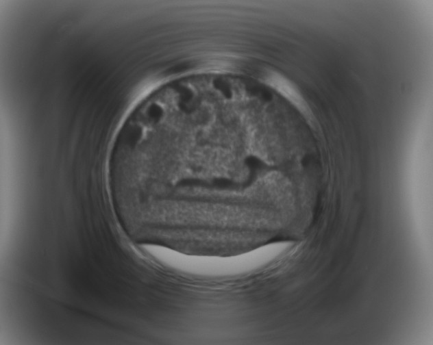X0000085231283200703301717