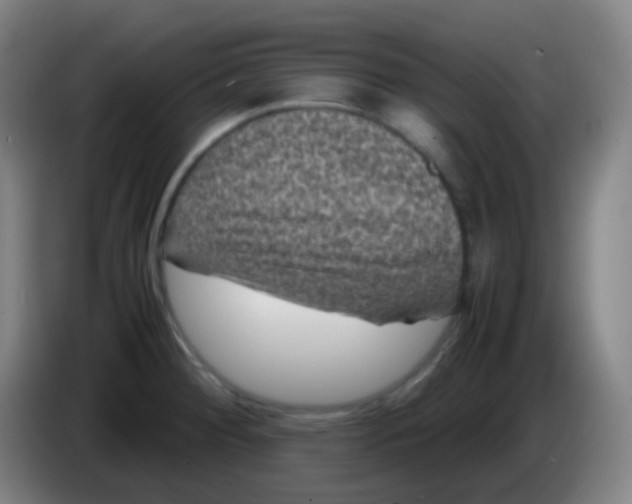 X0000085231284200703301717