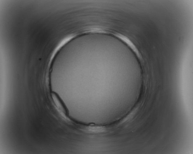 X0000085231285200703301717