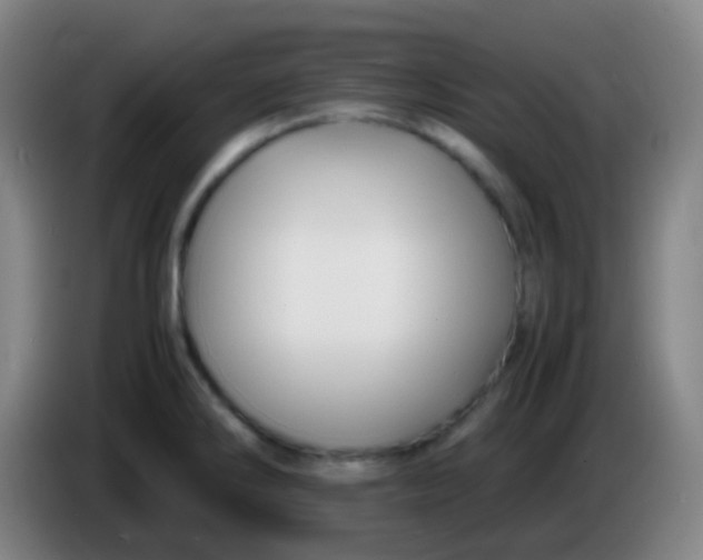 X0000085231286200703301717