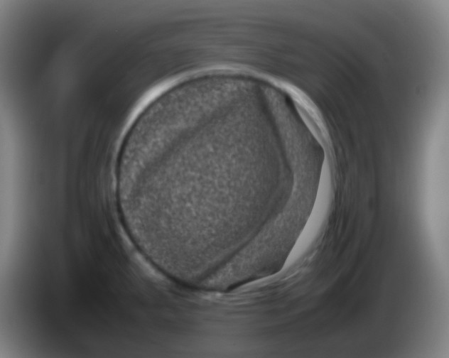 X0000085231287200703301717