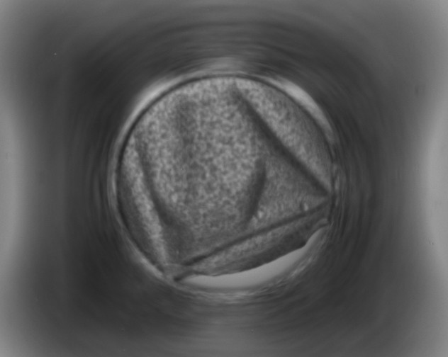 X0000085231288200703301717
