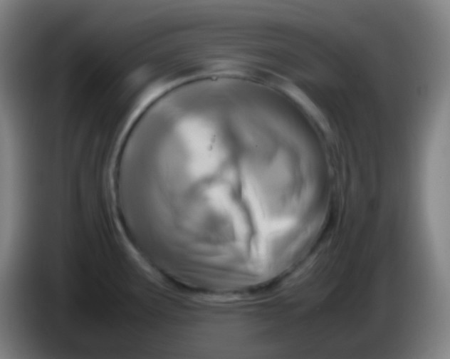 X0000085231291200703301717