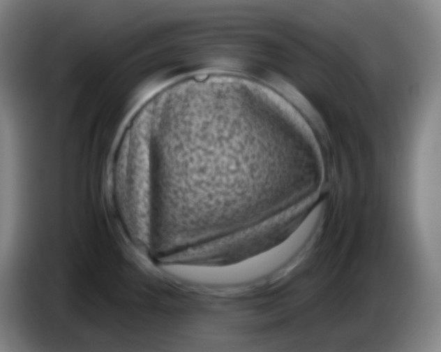X0000085231292200703301717