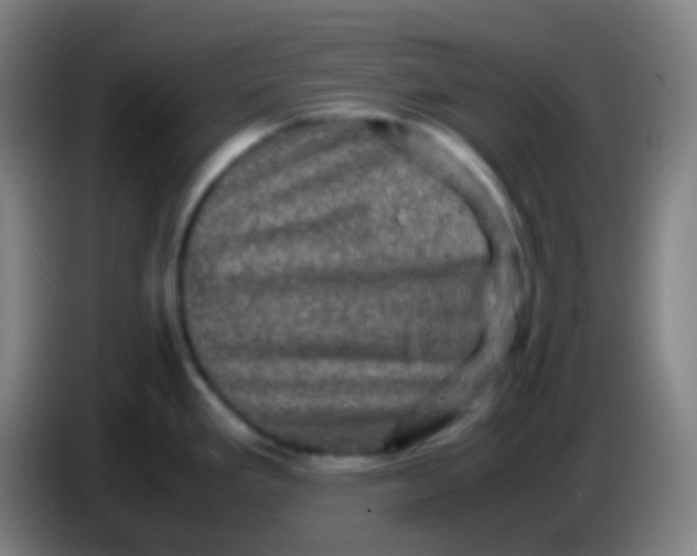 X0000085231293200703301717