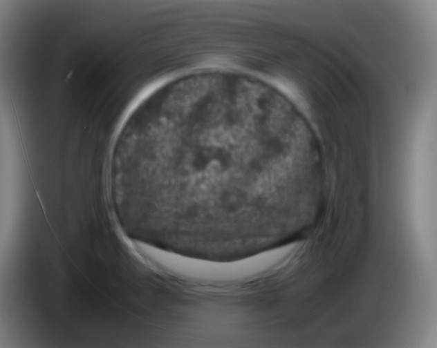 X0000085231295200703301717