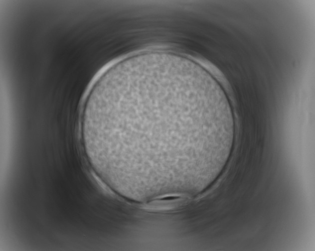 X0000085231296200703301717