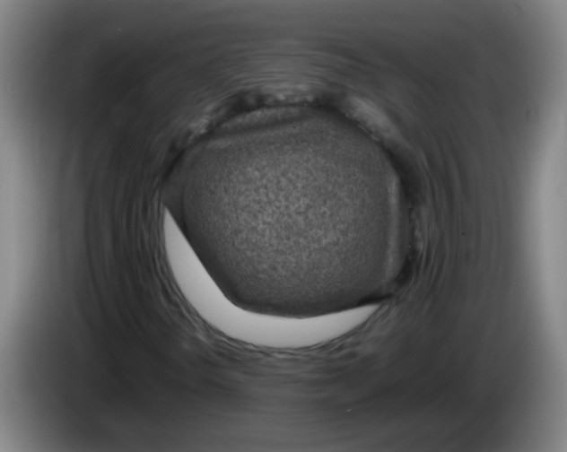 X0000085231298200703301716