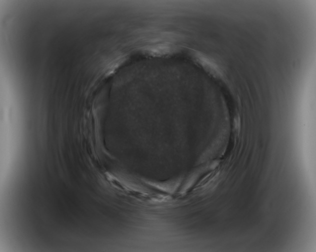 X0000085231300200703301716