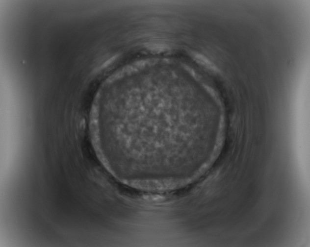 X0000085231302200703301716