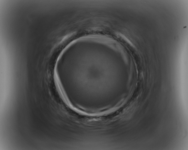 X0000085231303200703301716