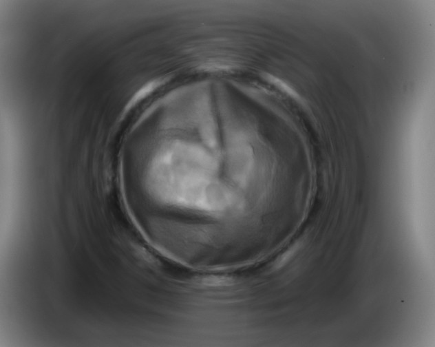 X0000085231306200703301716