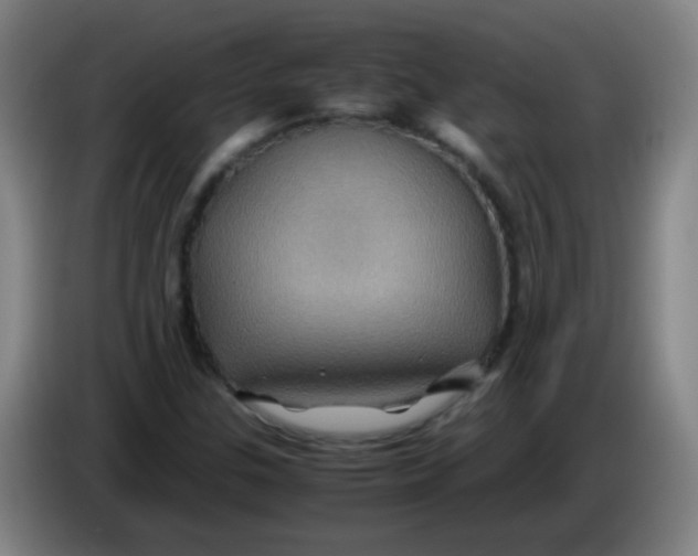 X0000085231307200703301716