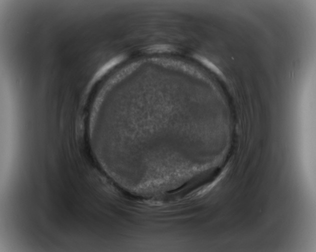 X0000085231309200703301716
