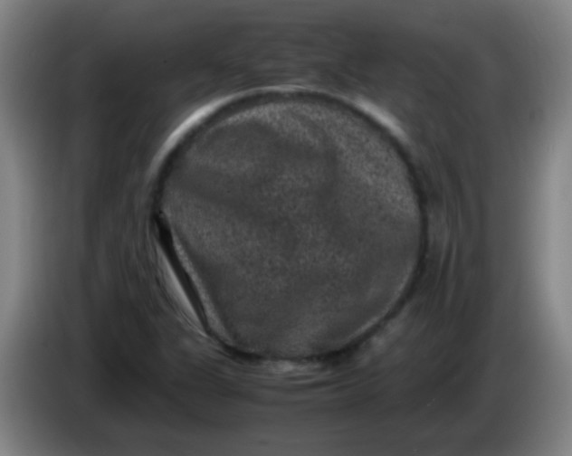X0000085231311200703301716