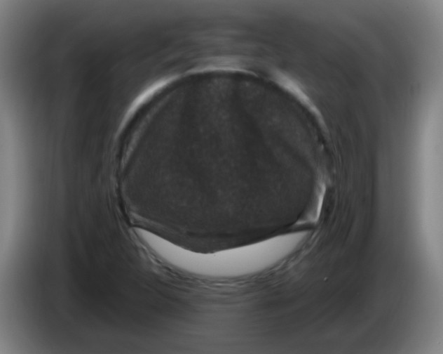 X0000085231312200703301716