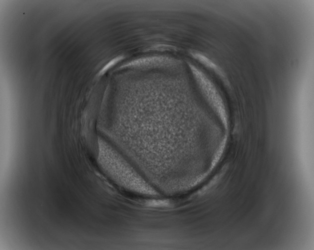 X0000085231313200703301716