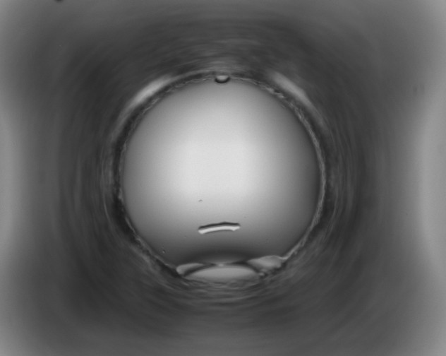 X0000085231315200703301716