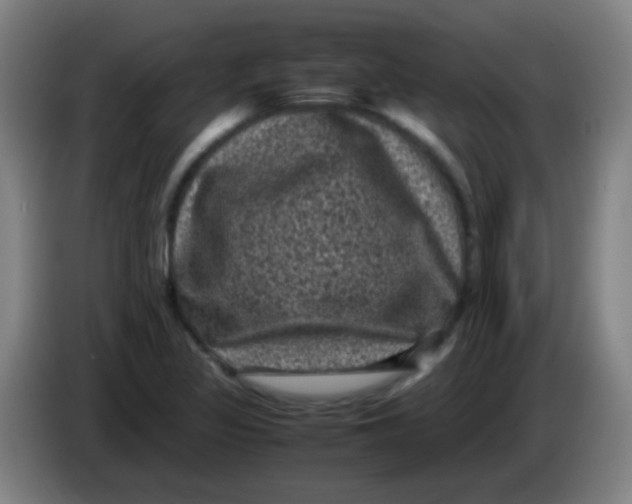 X0000085231317200703301716