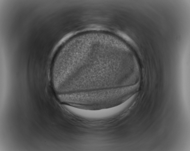 X0000085231318200703301716