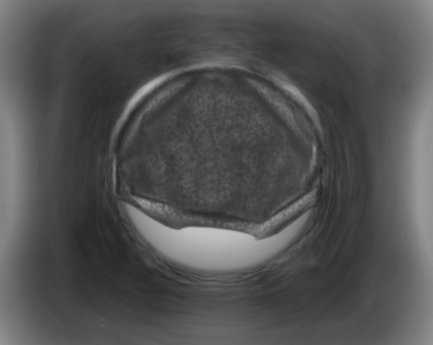 X0000085231320200703301716