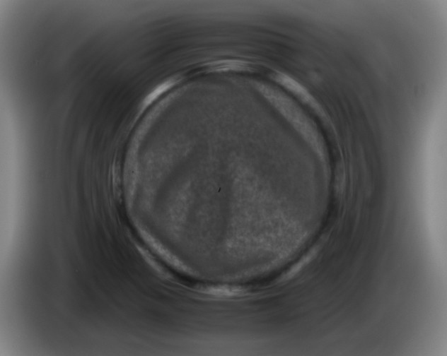 X0000085231321200703301716