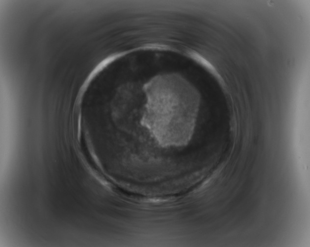 X0000085231323200703301716