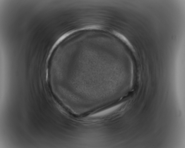 X0000085231324200703301716