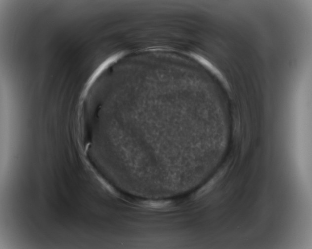 X0000085231325200703301716