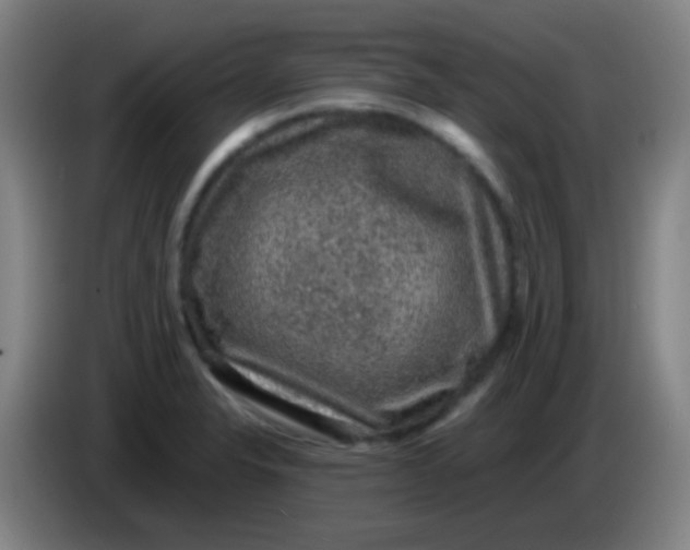 X0000085231326200703301716