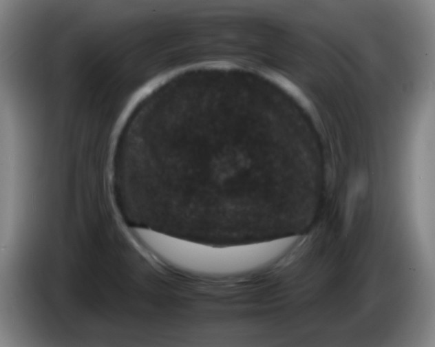 X0000085231327200703301716