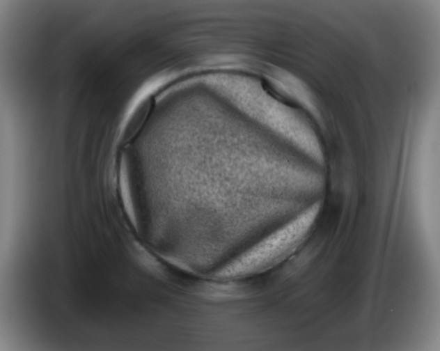 X0000085231328200703301716