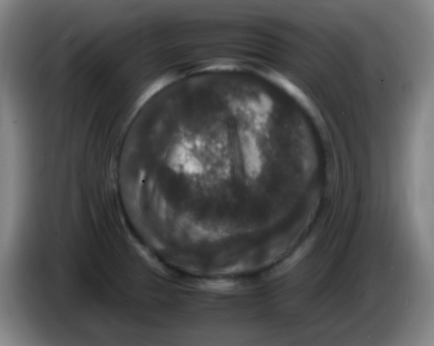 X0000085231329200703301716