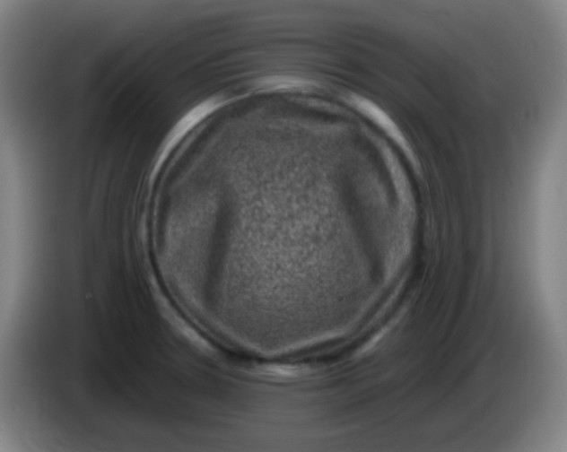 X0000085231330200703301716
