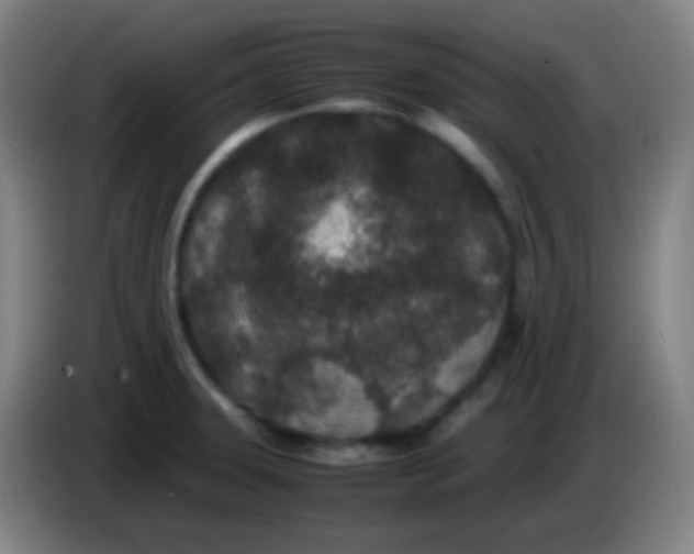 X0000085231331200703301717
