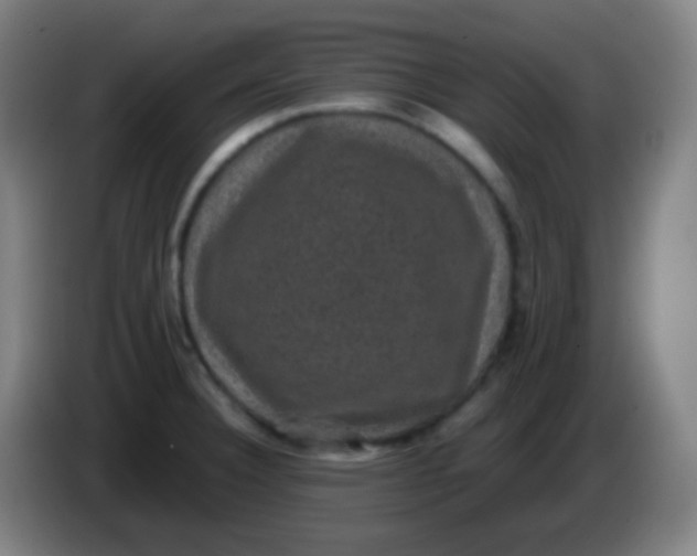 X0000085231332200703301717